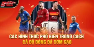 Cách cá độ bóng đá cơm gạo – Tư duy chơi bền vững cho người yêu bóng đá